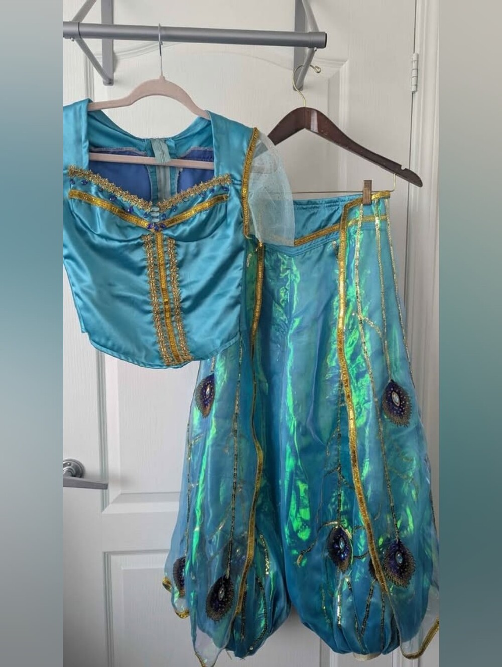 Adult Custom Made Princess Jasmine Costume
